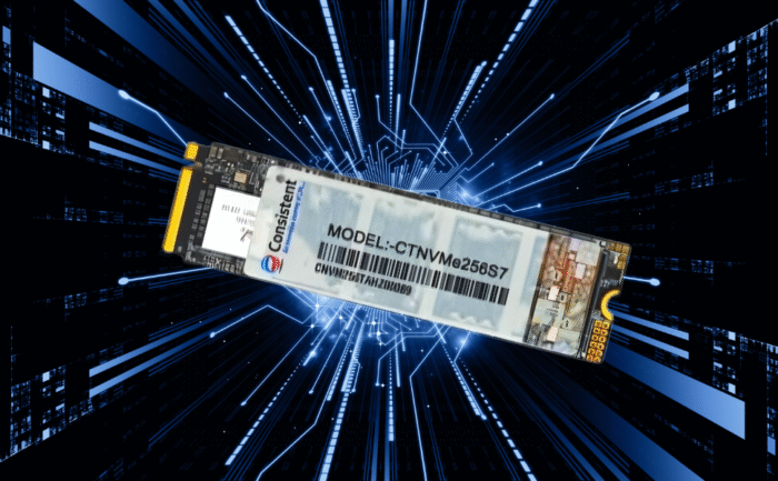 Consistent 256GB NVMe PCIe M.2 SSD 2280, 3D NAND with SLC Cache, Up to 2200MB/s, 5 Years Warranty - Image 3